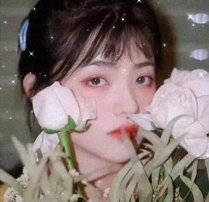 格卢莫夫的日记